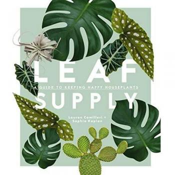 Leaf Supply: A guide to keeping happy house plants