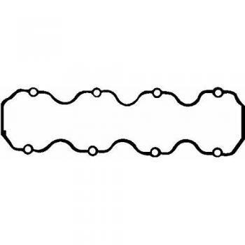 REINZ 71-29303-00 DANA