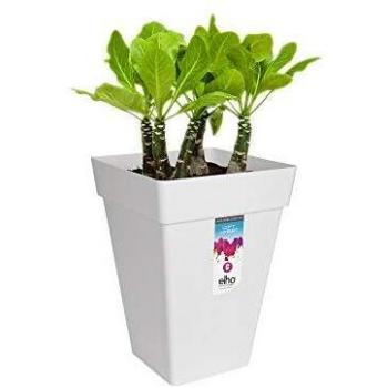 Maceta Elho Loft Urban Square High 37