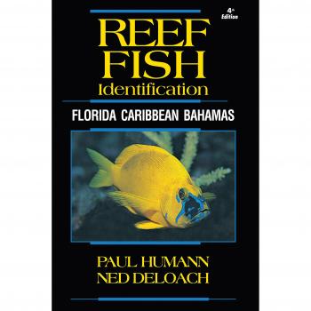 Reef Fish Identification