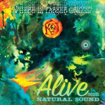 Where Is Parker Griggs? VINYL