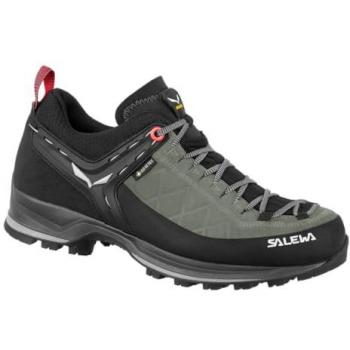 Salewa Women's Mountain Trainer 2 GORE-TEX® Hiking Shoes