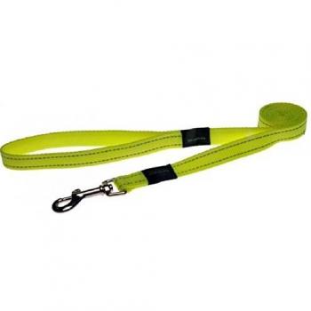 Rogz Utility Day GLO - Correa de Ventilador de Plomo Fija, tamaño Grande