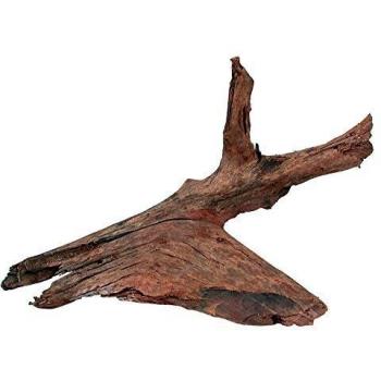 Raíz Natural de Manglar M para Acuario/Terrario 25-40 cm Zolux