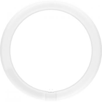 Tubo LED Circular OSRAM G10q T9 18.3W 2200lm 4000K Luz Blanca Neutra