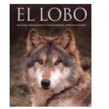 El Lobo. Escenas fascinantes y fotografías espectaculares