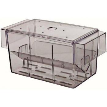 Trixie Peces Hatchery-Parent