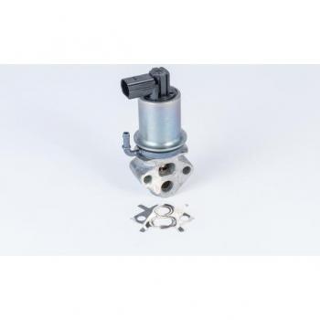 Válvula EGR BorgWarner Wahler 710788D0