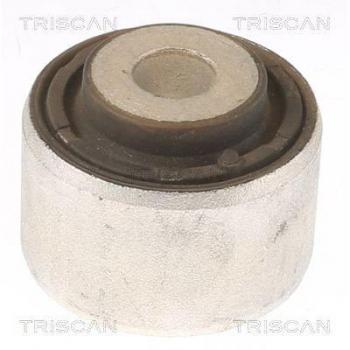 Soporte de Suspensión TRISCAN 8500 81808 para Brazo Oscilante y Dirección