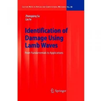 Lamb Wave Damage Detection System