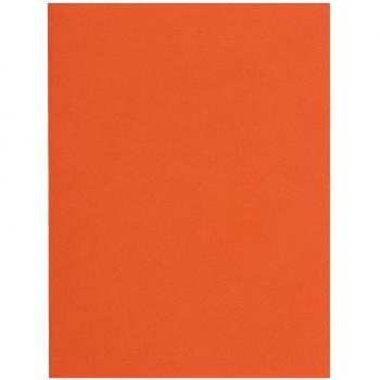 Subcarpetas de papel Flash Exacompta 150007E - 80 g/m2