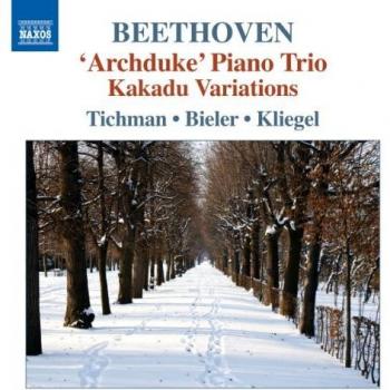 Vol. 5-Piano Trios Trios - Nina Tichman Maria Kliegel Ida Bieler