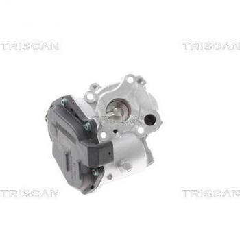 Válvula EGR TRISCAN 8813 23015