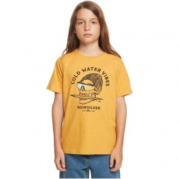 Quiksilver Camiseta De Manga Corta Skull