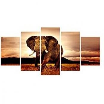 My Art Gallery Set Panel Decorativo 5 Uds.