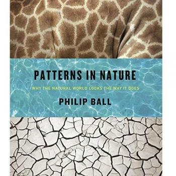Patterns in Nature: Why the Natural World Looks the Way it Does