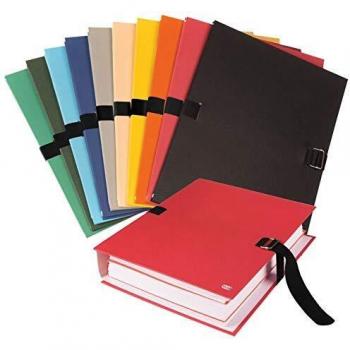 Carpeta Oxford DIN A4 con cubierta de PVC y 10 separadores extensibles de colores assortidos
