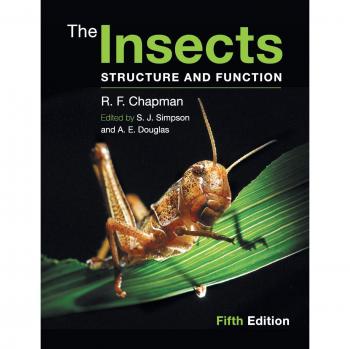Insects: Structure and Function - Comprehensive Guide to Insect Anatomy and Physiology