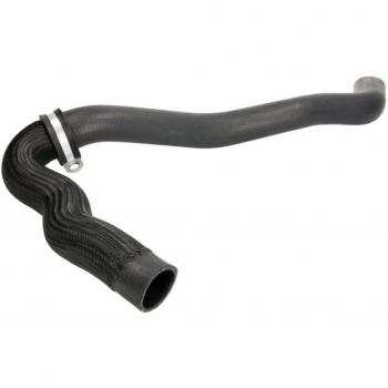 Manguito de Radiador SASIC 3404123 para RENAULT LAGUNA 3 y 3 Grandtour, lado derecho superior