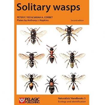 Manual de Avispas Solitarias (Guías para Naturalistas, Volumen 3)