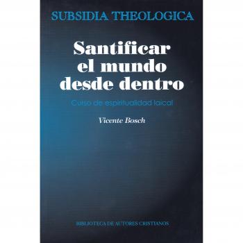 Santificar el mundo desde Dentro: curso de espiritualidad laical: 6