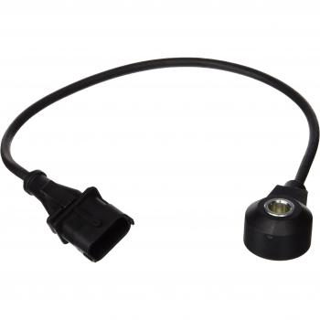 FAE 60145 Inyección de Combustible, negro