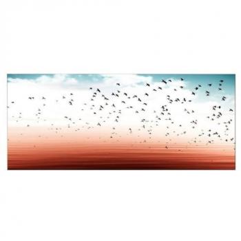 Impresión sobre Lienzo Aves 1, Poliéster Multicolor, Marco de Madera, 100x3x70 cm