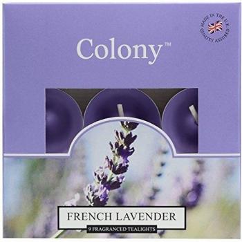 Colony - Set de 9 Velas de té perfumadas