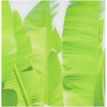 ALFA de cer 5902027026856 Cristal Panel, cristal, multicolor, 60 x 60 cm