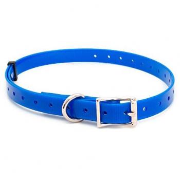 Collar para Perro Ibáñez de Poliuretano Resistentes y Ajustables, 16 mm, 1.6x70 cm, Azul Eléctrico