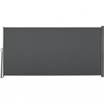 Outsunny Toldo Lateral Retráctil 300x160 cm Gris