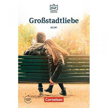 DAF BIB GROSSTADTLIEBE: Geschichten aus dem Alltag der Familie Schall. Lektüre. Mit Audios online