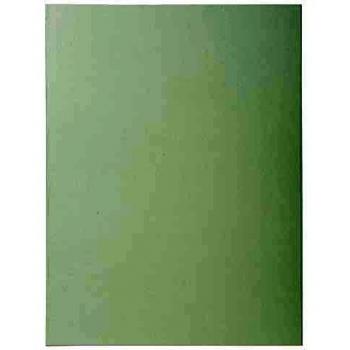 Exacompta 330009E - Lote de 100 Subcarpetas Super 250, Color Gris
