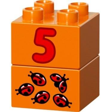 31