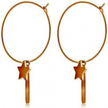 Córdoba Jewels | Pendientes en plata de ley 925 bañada en oro con diseño Aros Estrella Barra Gold