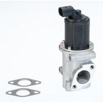 Válvula EGR BorgWarner Wahler 710772D