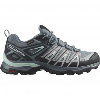 Zapatilla Salomon X Ultra Pioneer Goretex