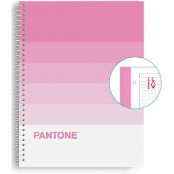 Cuaderno A4 Microperforado Pantone Sweet Escolofi Rosa - Pack de 5 unidades