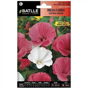 Malva florida-LAVATERA Vda.