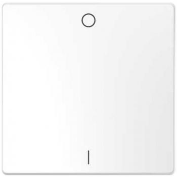 Schneider Electric MTN3301-6035 Tecla Bipolar para Mecanismo de La Serie D-Life, Blanco Ártico