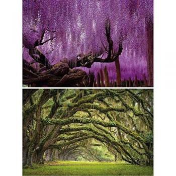 GREAT ART Set de 2 Posters XXL - Glicinia & Avenida de Robles - floreciente Cuento de Hadas Bosque árboles forestales Primavera Verano Naturaleza Imagen decoración