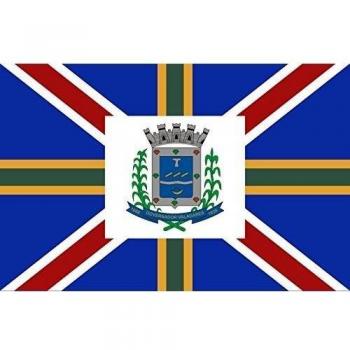 GovernadorValadares MinasGerais Brasil | Município de Governador Valadares no Estado de Minas Gerais Bandera 20x30cm para Diplomat-Flags Banderas de Coche