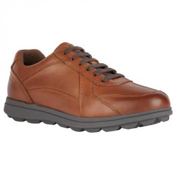 Geox U Spherica EC12 Men's Trainers in Brown