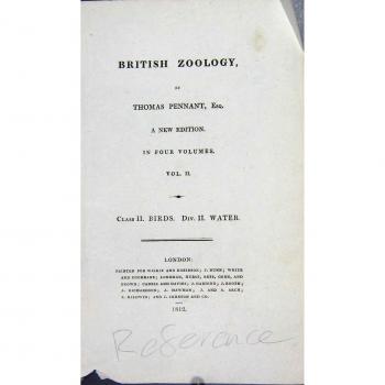 PÁGINA BRITÁNICA DE LA REFERENCIA DEL BANDERÍN DE THOMAS DE LA ZOOLOGÍA