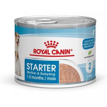 Royal Canin Starter Mother & Babydog Ultra Soft Mousse - Pack Económico 48 x 195 g