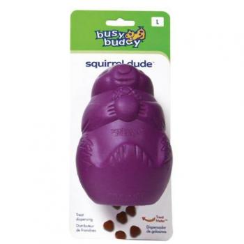 Busy Buddy Mordedor Squirrel Dude para Perros - Juguete interactivo de goma, diseñado para perros de todos los tamaños, con forma de ardilla, que promueve la masticación saludable y el juego activo