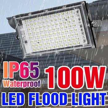 220V Waterproof IP65 LED Outdoor Floodlight Garden Spotlight Projector