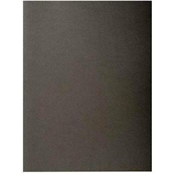 Exacompta 210009E - Lote de 100 Subcarpetas RockS 210 g, Color Gris