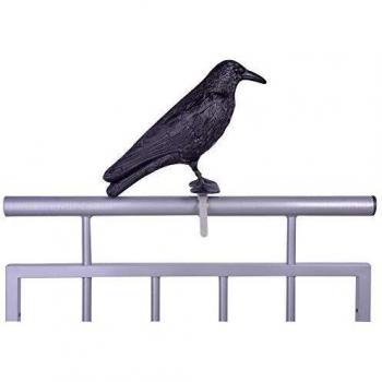 Espantapájaros de plástico en forma de cuervo para alejar palomas - 12,9 x 36,2 x 22,2 cm