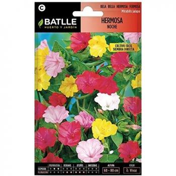Semillas de Flores - Hermosa Noche variada - Batlle